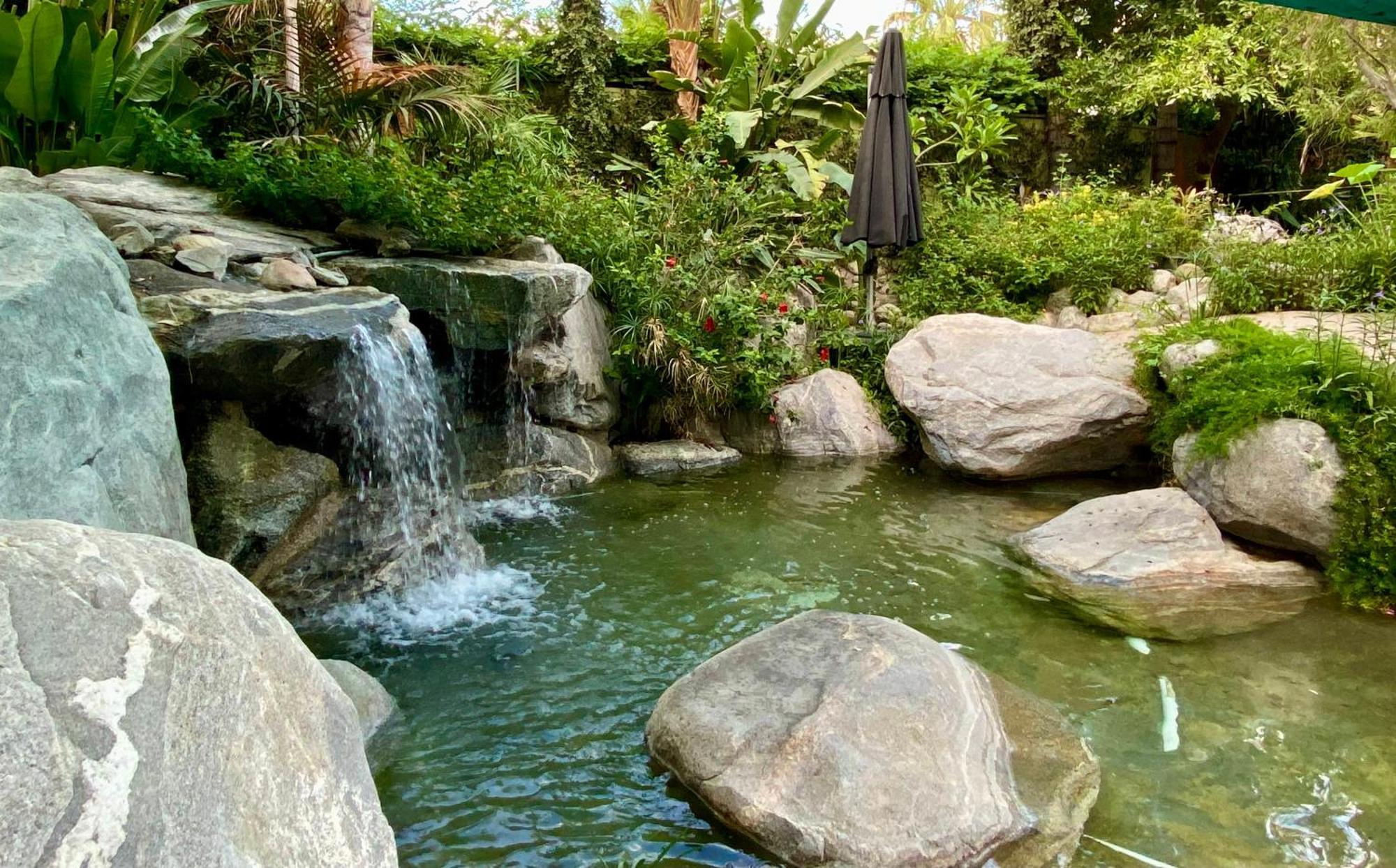 Vista Grande Resort - A Gay Men'S Resort Παλμ Σπρινγκς Εξωτερικό φωτογραφία